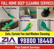 Zia Pest Control | Hygienic Deep Cleaning for a Fresh, Healthy Home |